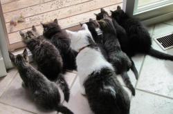 LOL决赛-绝望11秒！马克西复刻乔丹神迹，骑士绝杀雄鹿的最大英雄是他