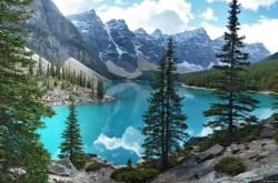 -关键时刻弗拉霍维奇站出来，助荷兰踏平喀麦隆