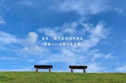 英雄联盟总决赛2025-惊艳与横扫，新生代与王者之师的交响