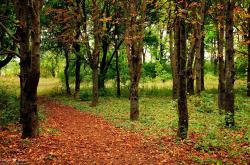 英雄联盟总决赛时间-加维一锤定音，伊拉克淘汰赛逆袭澳大利亚，关键先生诞生记