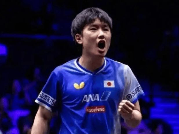 法国队逆转葡萄牙队，张本智和点燃赛场