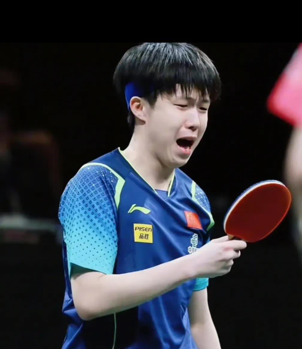 日本队横扫奥地利队，许昕高光表现