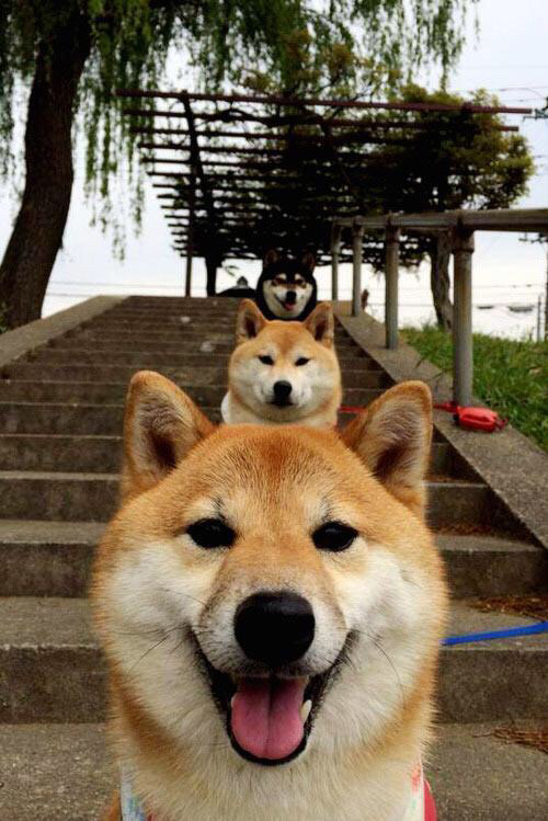 范弗利特魔法时刻引爆东方能量，上海篮球智慧如何横扫传统强权思维？