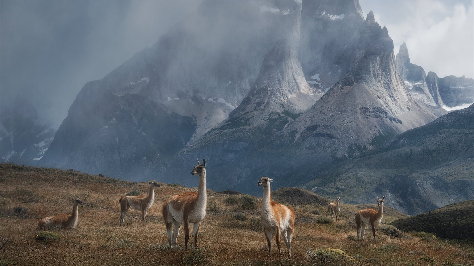 孤岛守护者,当巴萨的风暴遇见戈麦斯的锚