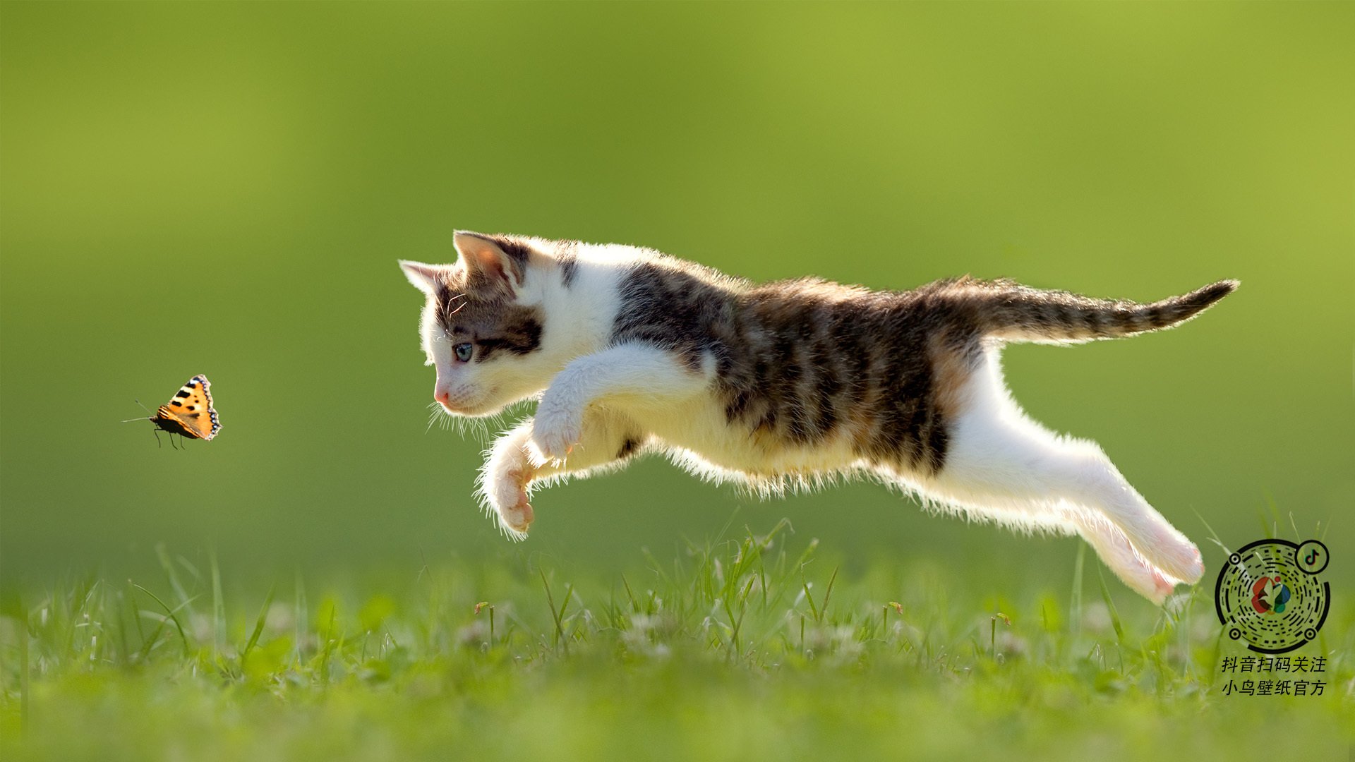 时间裂缝中的对决，当红魔曼联遭遇特兰加雄狮，奥斯梅恩的跨维度压制