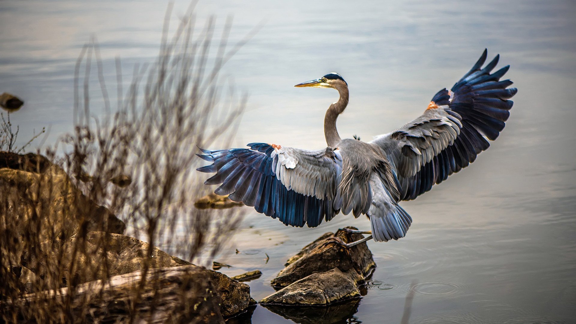 曼彻斯特的天空,今夜为一场沉稳的胜利而明亮—当曼联将巴黎的星光稳稳落于麾下