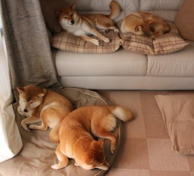 恩比德国际爆发点燃犹他,爵士争冠战构想中的广东队挑战