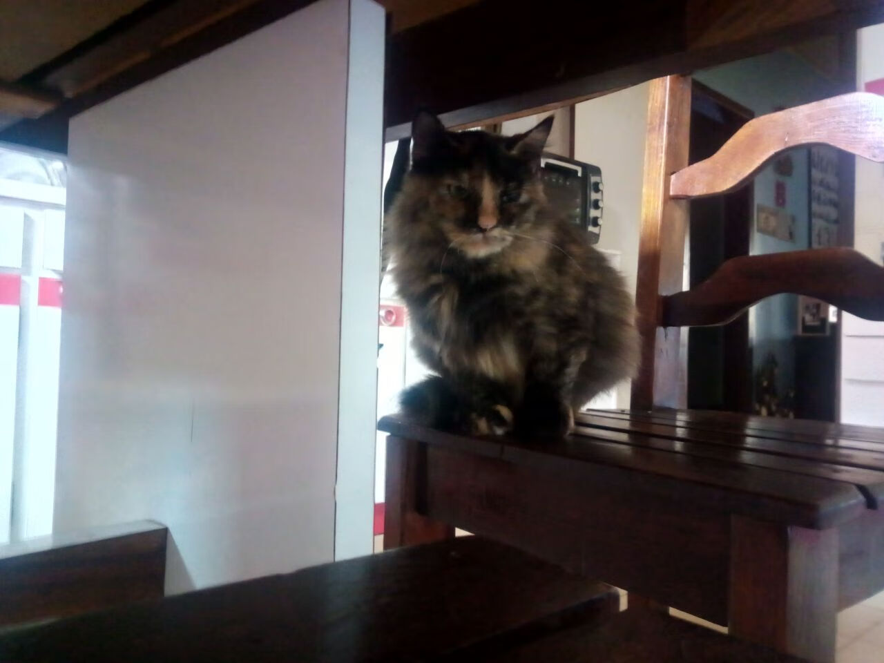 利刃出鞘时，当鹈鹕的洪流遇见克莱的寒光