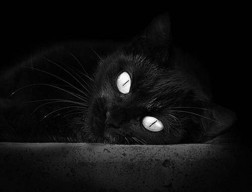 冰封王座,欧冠决赛之夜,金玟哉用一记头槌重绘足坛权力版图