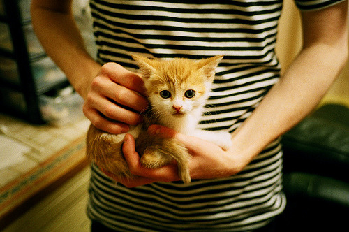 引擎轰鸣处,蓝桥驶过寂静的刀锋