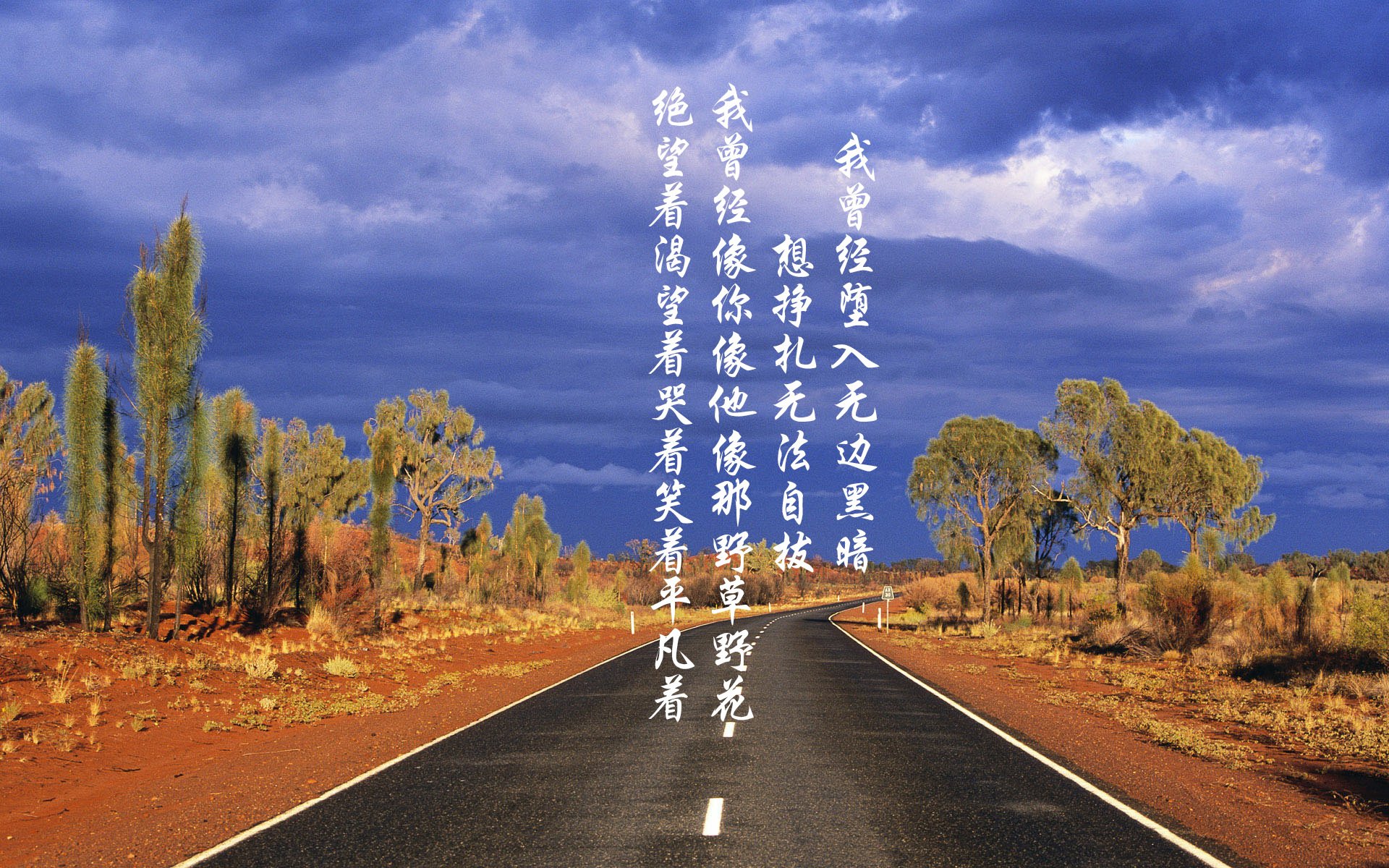 当总决赛遭遇强行终结，几内亚如何成为篮球世界的意外隐喻？