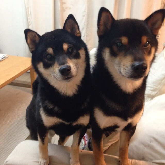 新王加冕最老的国王,与最年轻的王,切特末节20分,完成一场无声的弑君