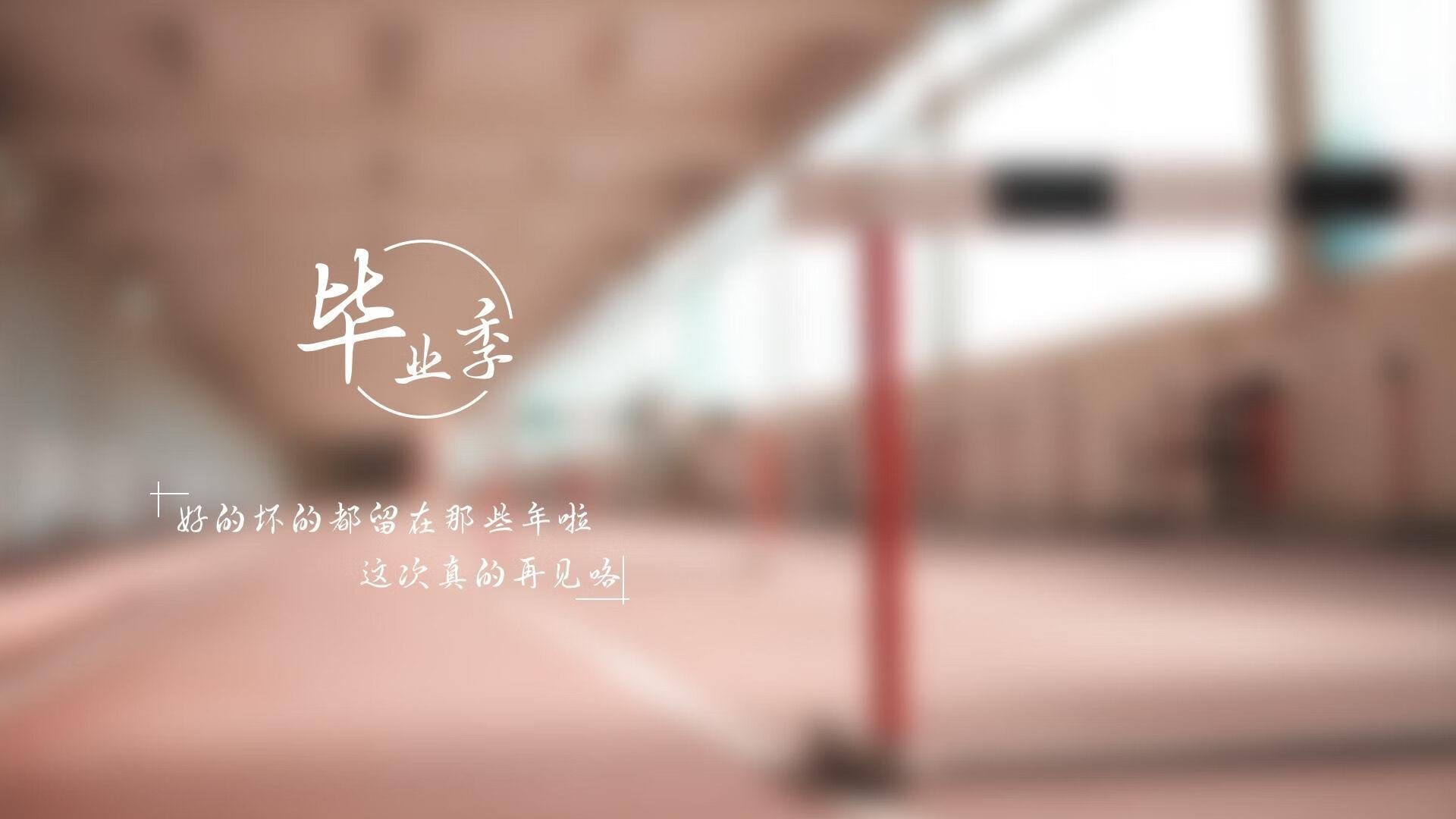宿命对决的终章,2026世界杯E组,阿根廷复仇智利,萨内领衔的蓝色风暴席卷美洲