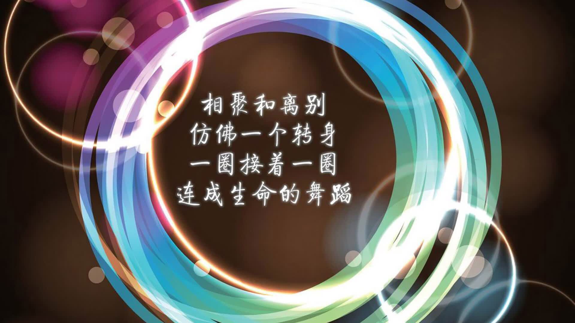 唯一性的碰撞，齐耶赫的光芒照亮哥斯达黎加与喀麦隆的淘汰赛之夜