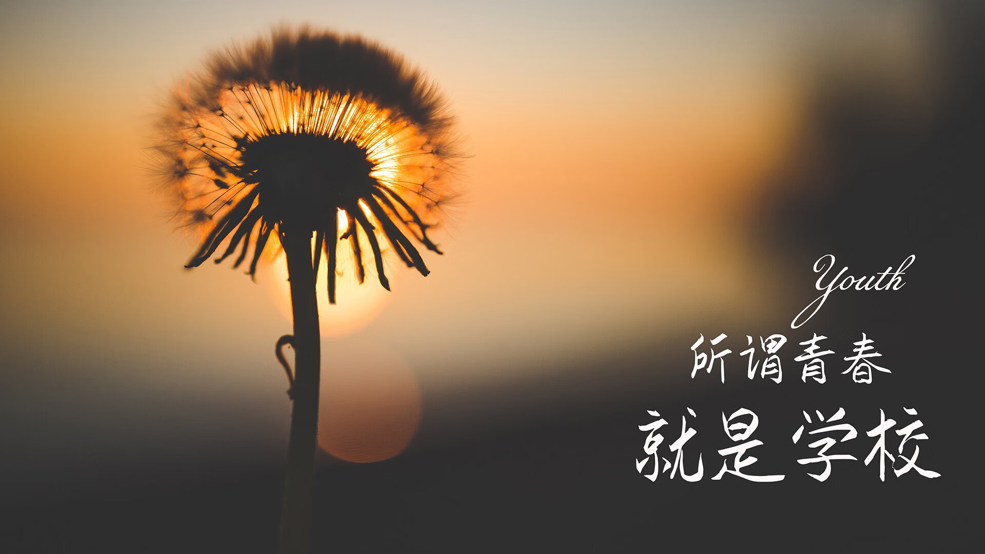 北欧冰与火,波兰中场铁幕下的致命一击,C组唯一剧本的诞生