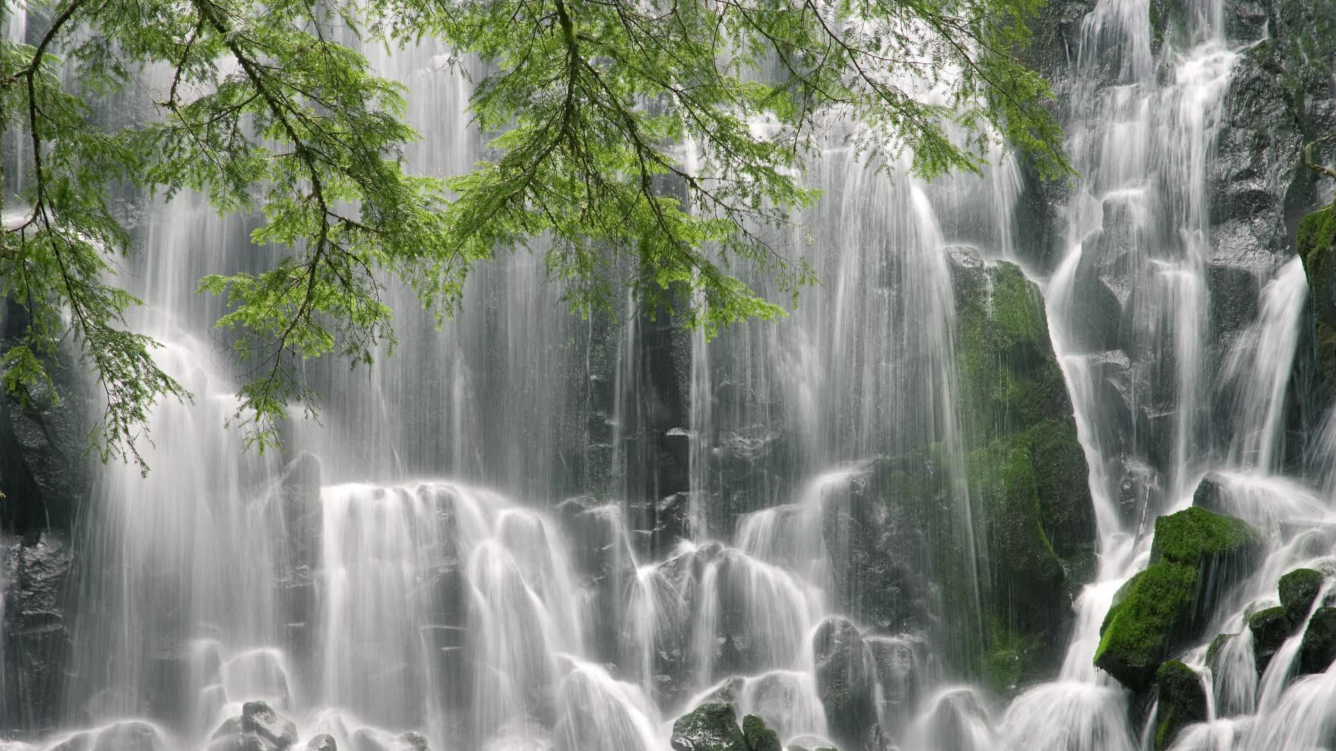 蓝衣军团的午夜涅槃，当罗马城在奥斯陆的暴雨中燃起不灭之火
